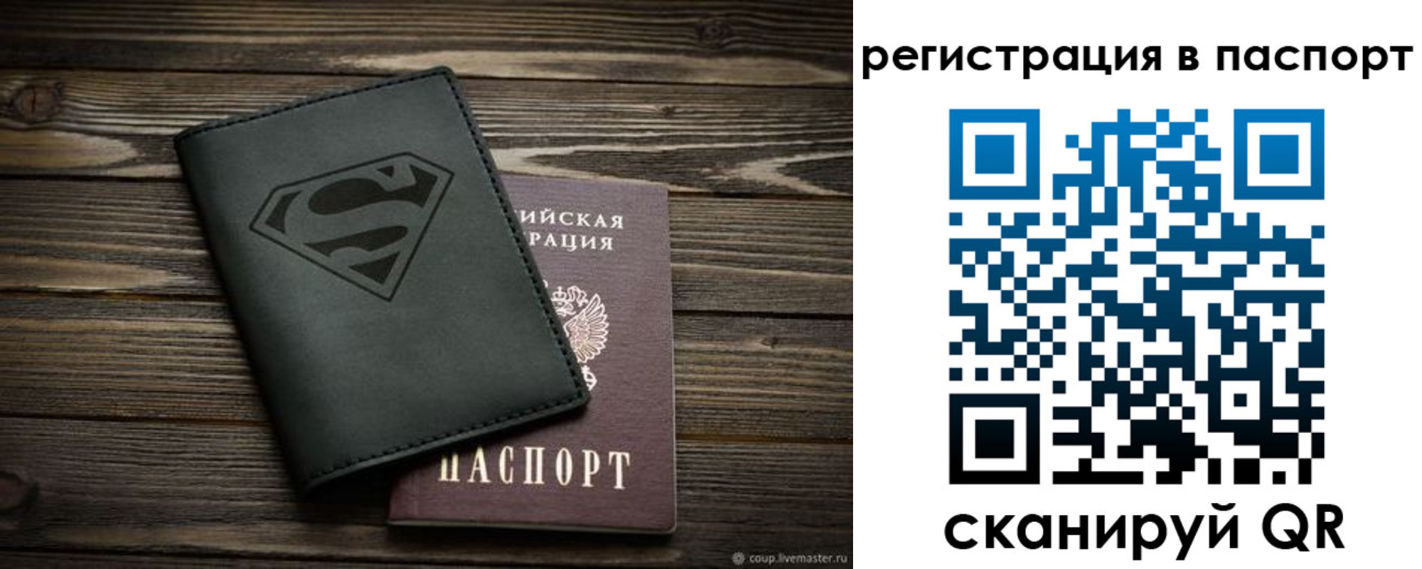 прописка для школы в Ртищево